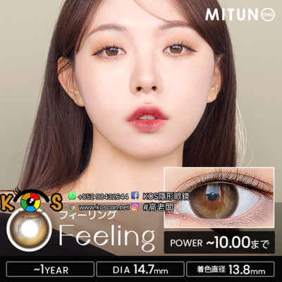Mitunolens Feeling Brown Yearly フィーリング・ブラウン [1年用]